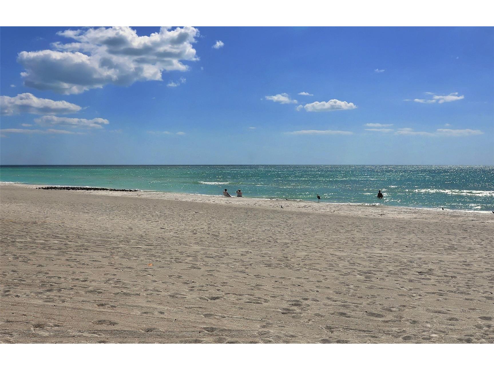 4500 Gulf Of Mexico Drive #3 Longboat Key FL 34228 A4685838 image59