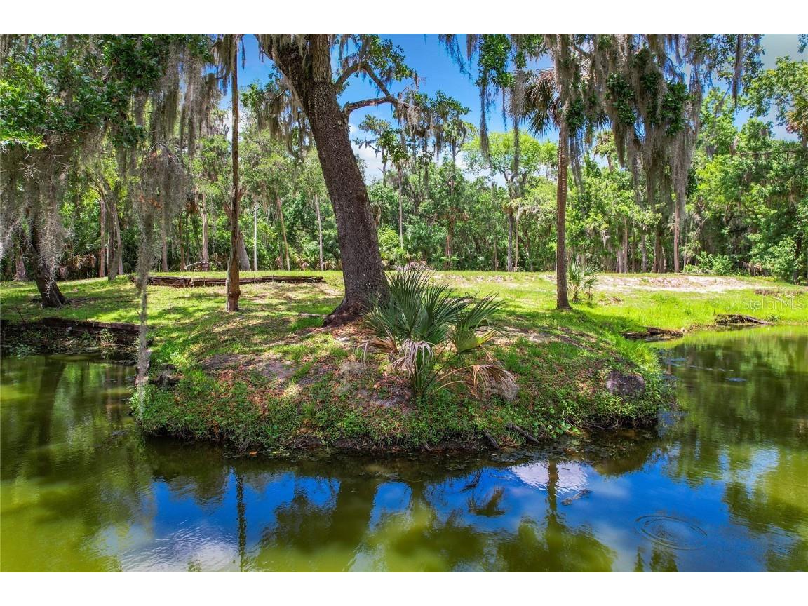 4500 Hallelujah Way Sanford FL 32773 O6198343 image1