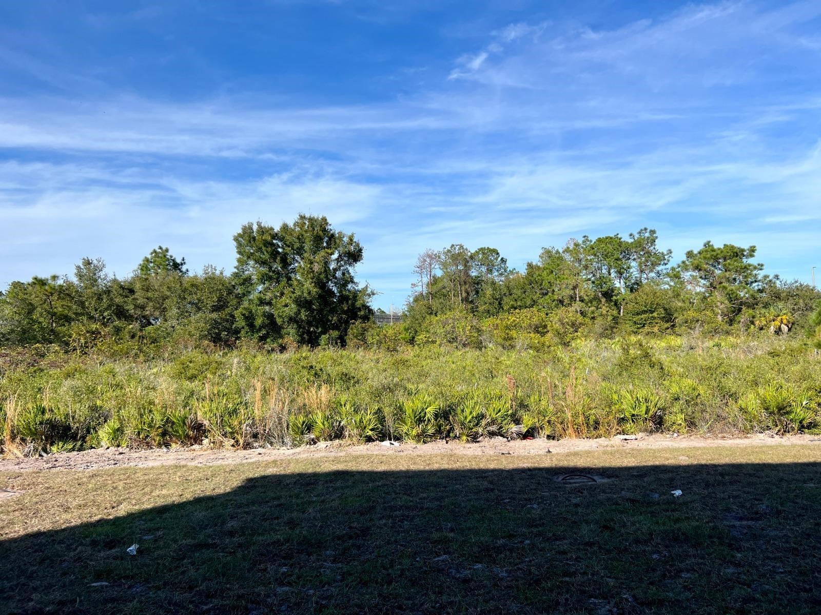 4501 Burrowing Owl Loop Saint Cloud FL 34772 O6403674 image11