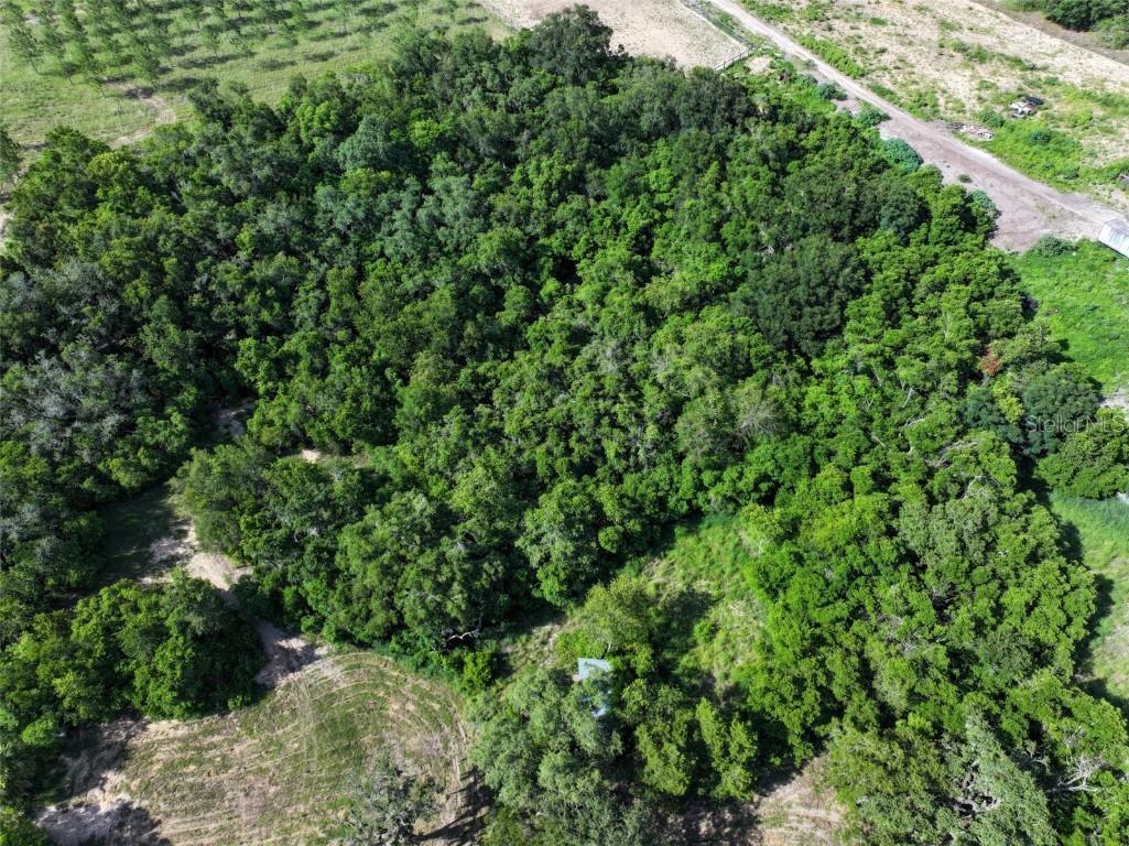 4501 Detour Road Haines City FL 33844 OM703844 image49