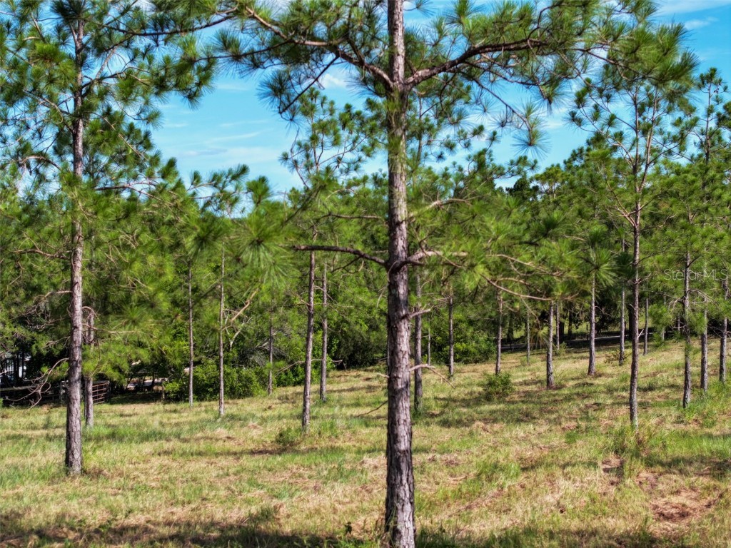 4501 Detour Road Haines City FL 33844 OM703844 image55