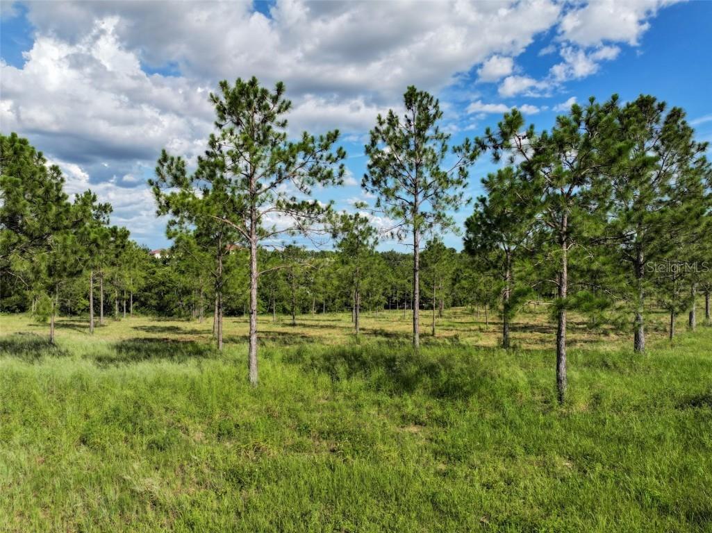 4501 Detour Road Haines City FL 33844 OM703844 image58