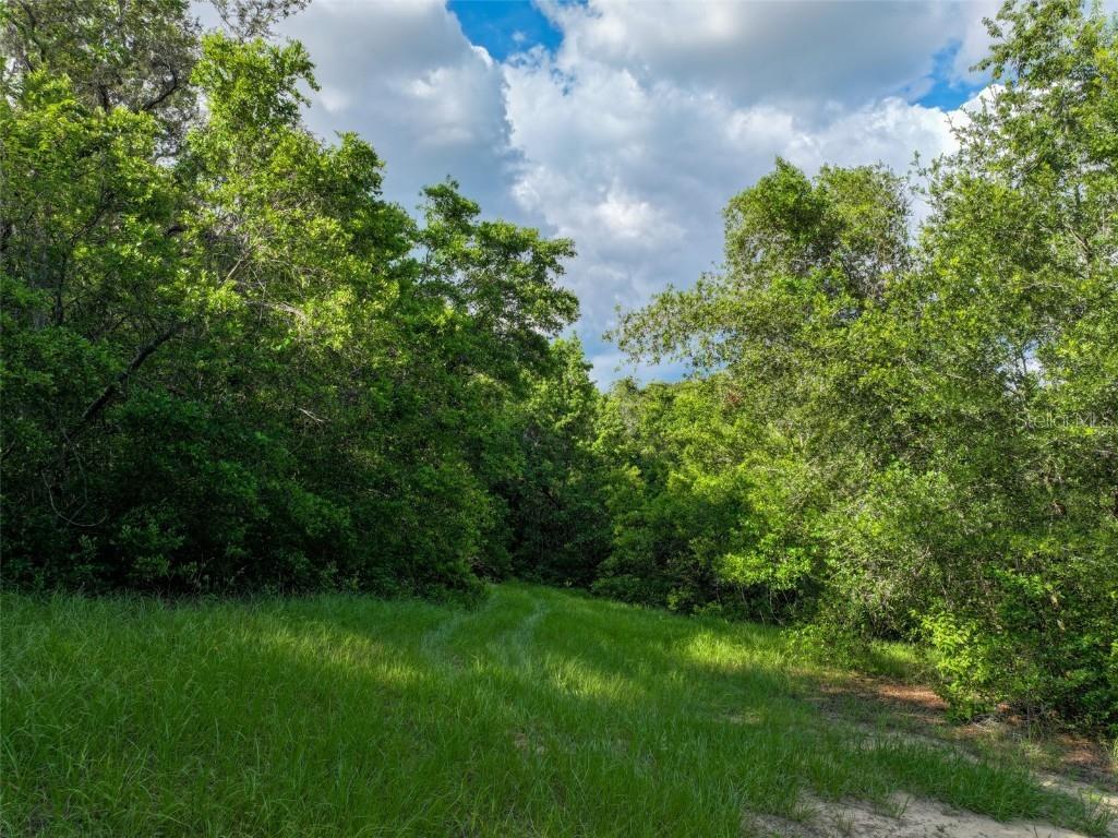 4501 Detour Road Haines City FL 33844 OM703844 image62