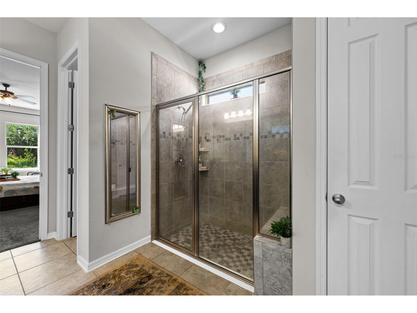 4501 Rolling Green Drive Wesley Chapel FL 33543 TB8495928 image18