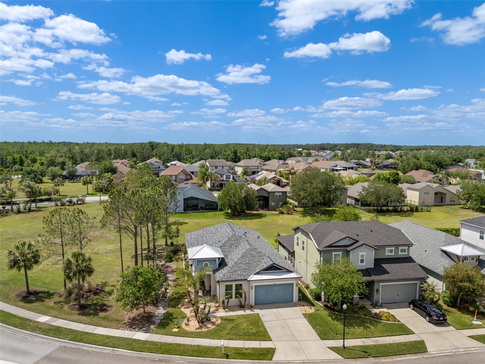 4501 Rolling Green Drive Wesley Chapel FL 33543 TB8495928 image32