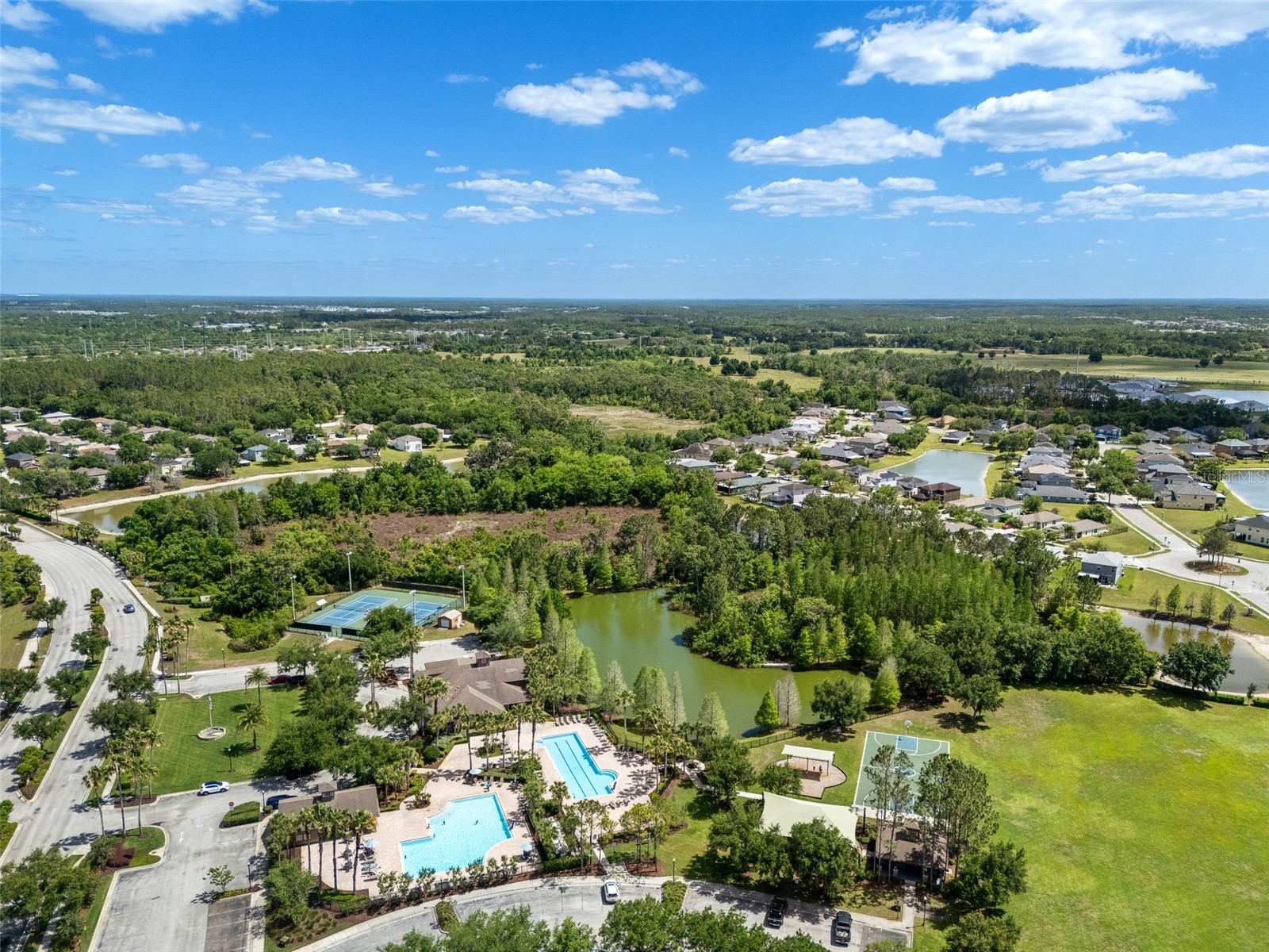 4501 Rolling Green Drive Wesley Chapel FL 33543 TB8495928 image38