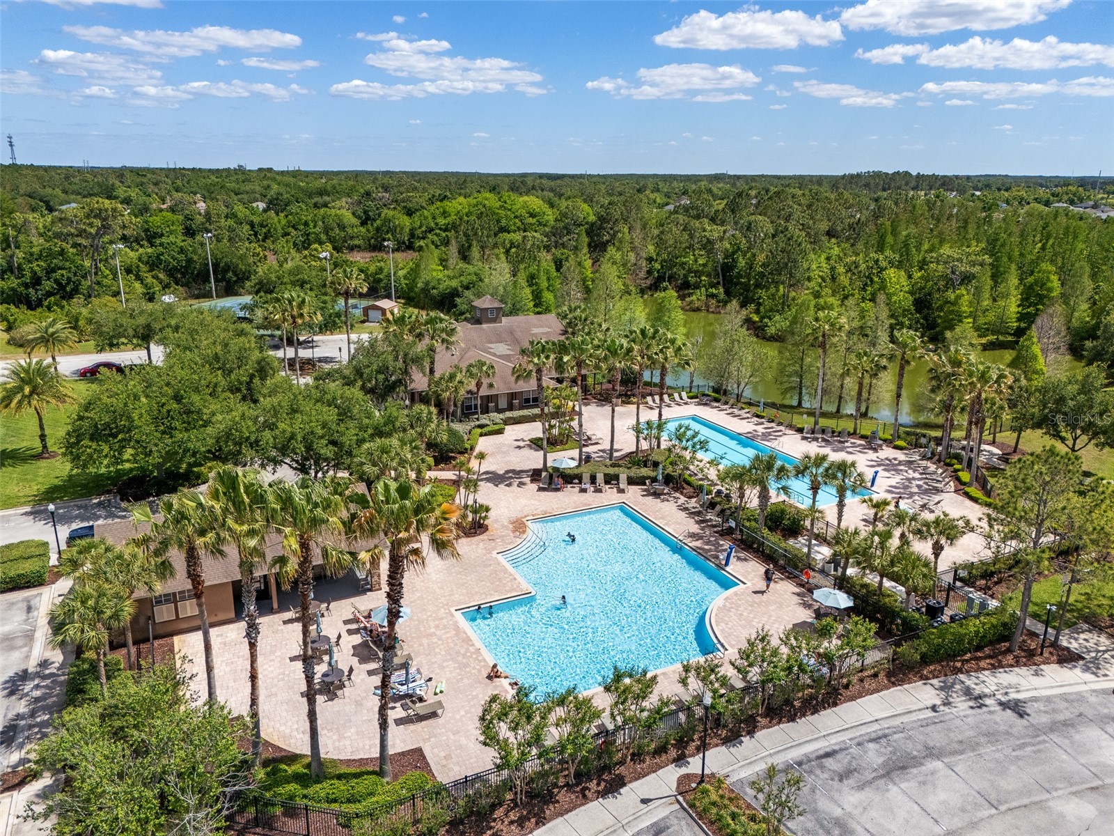 4501 Rolling Green Drive Wesley Chapel FL 33543 TB8495928 image39
