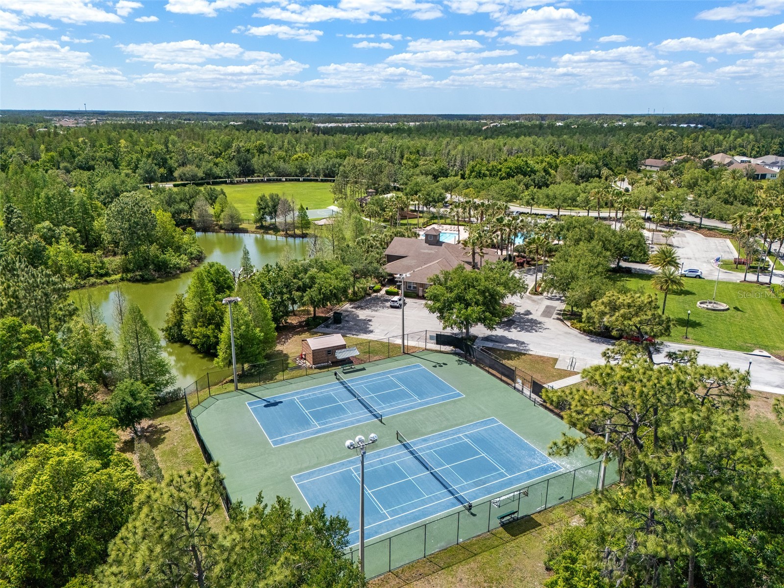 4501 Rolling Green Drive Wesley Chapel FL 33543 TB8495928 image41