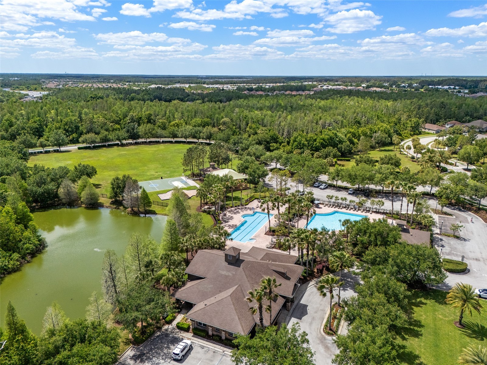 4501 Rolling Green Drive Wesley Chapel FL 33543 TB8495928 image42