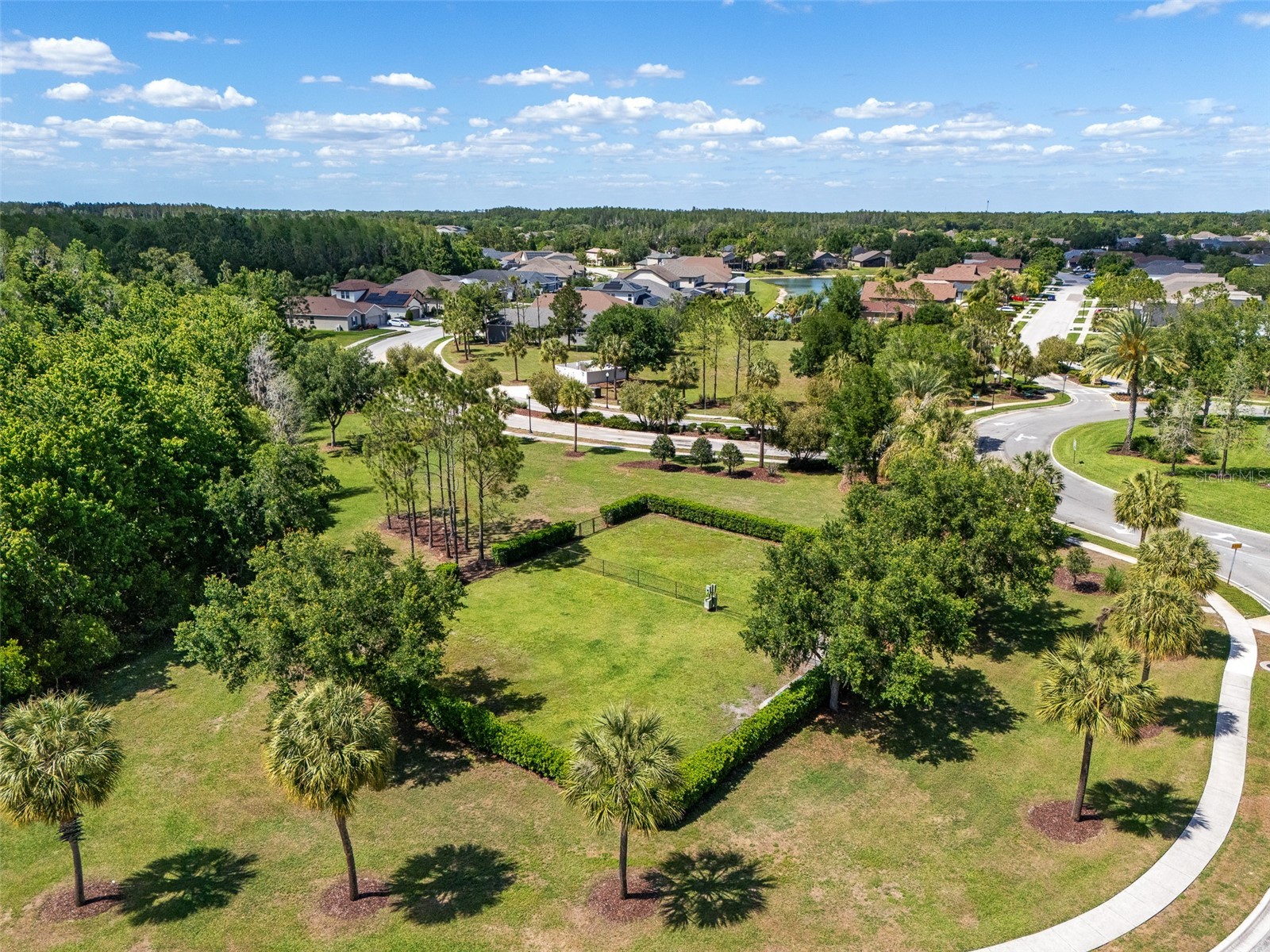 4501 Rolling Green Drive Wesley Chapel FL 33543 TB8495928 image43