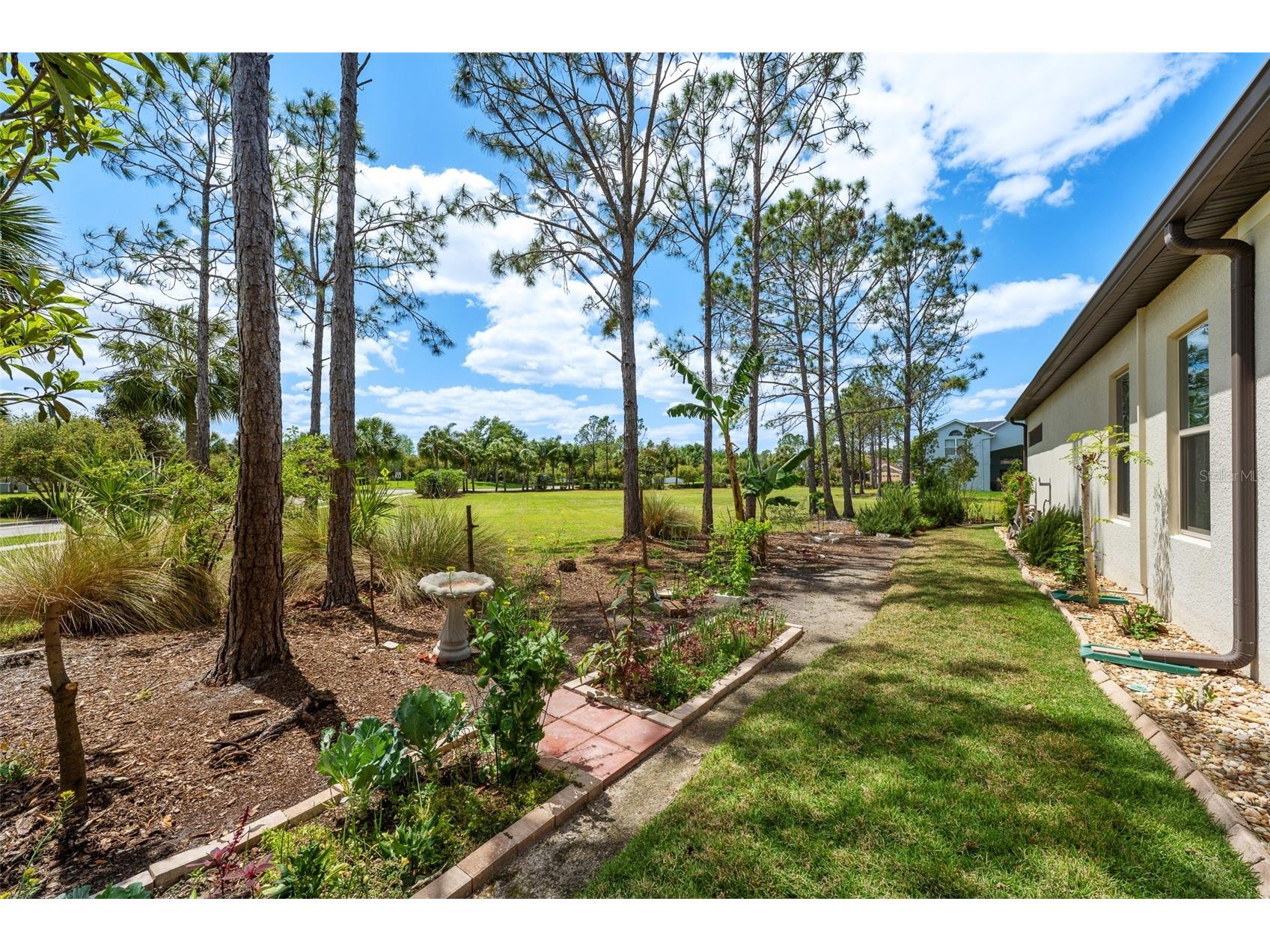 4501 Rolling Green Drive Wesley Chapel FL 33543 TB8495928 image45