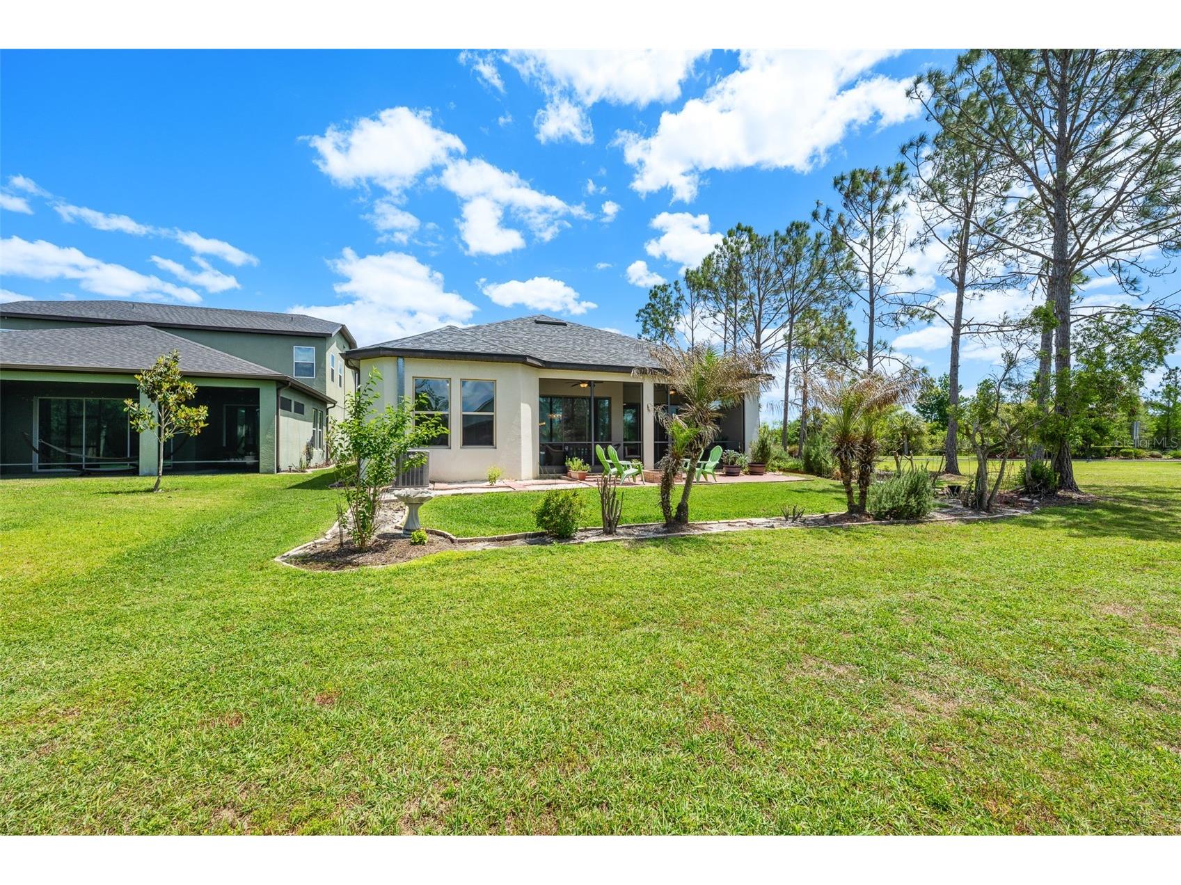 4501 Rolling Green Drive Wesley Chapel FL 33543 TB8495928 image48