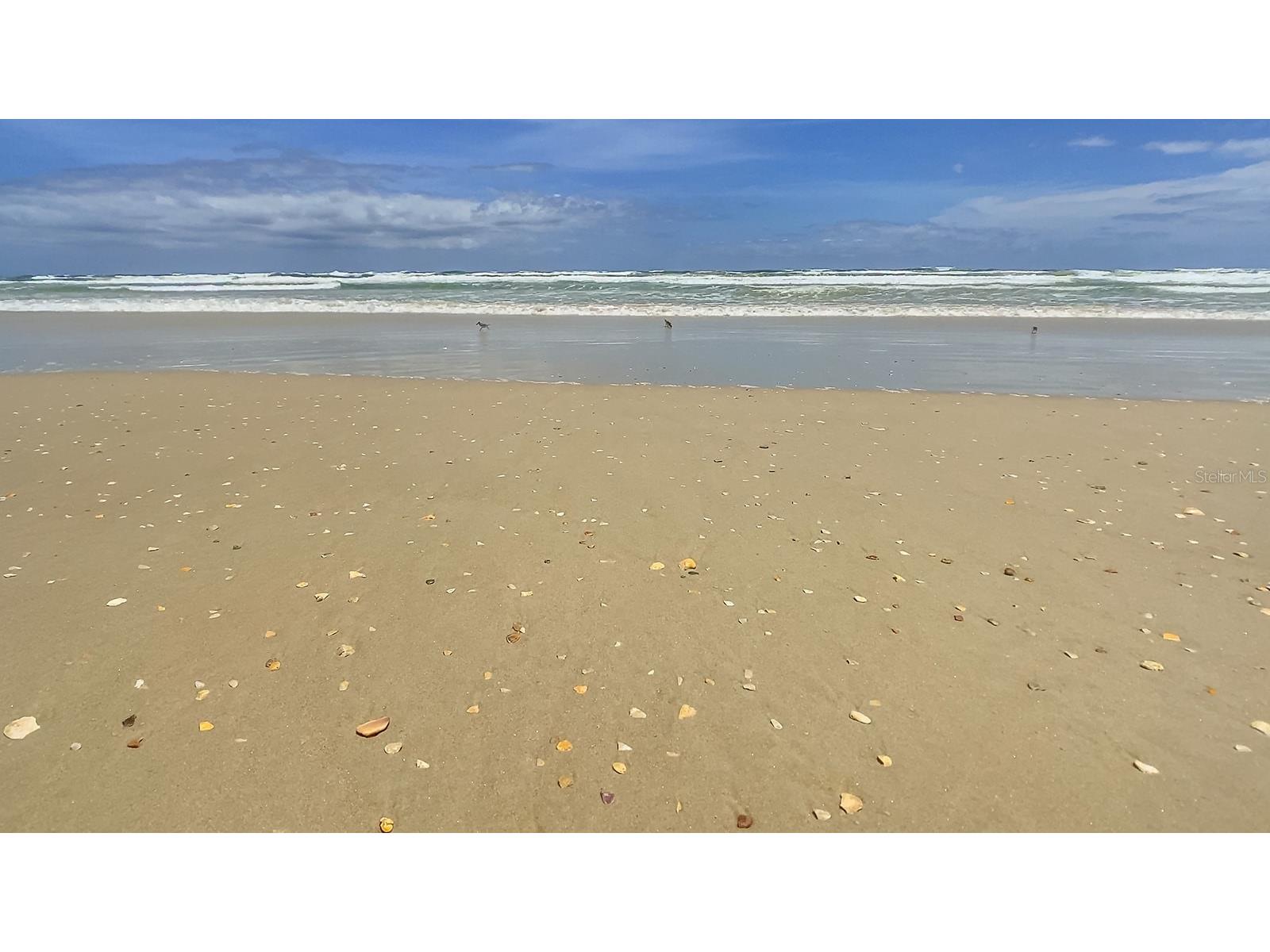 4501 S Atlantic Avenue #209 New Smyrna Beach FL 32169 - ATLANTIC OCEAN NS1087798 image44