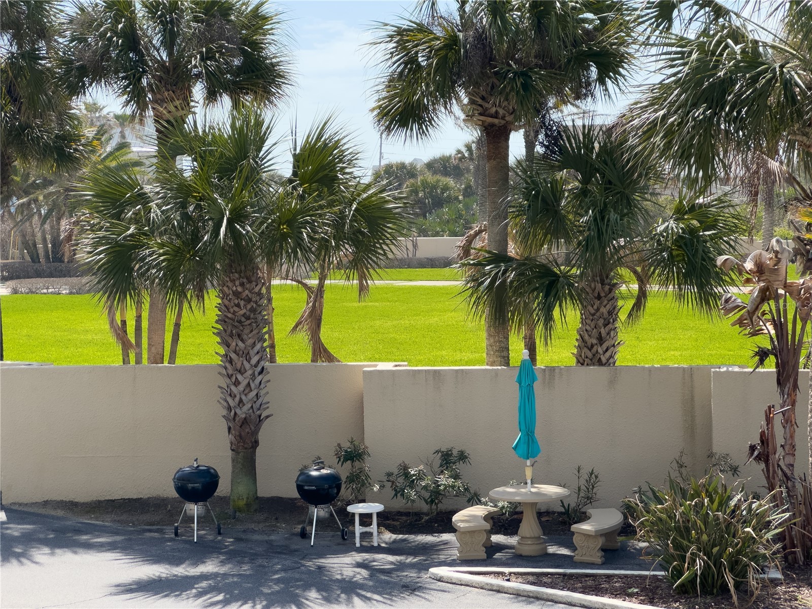 4501 S Atlantic Avenue #209 New Smyrna Beach FL 32169 - ATLANTIC OCEAN NS1087798 image54