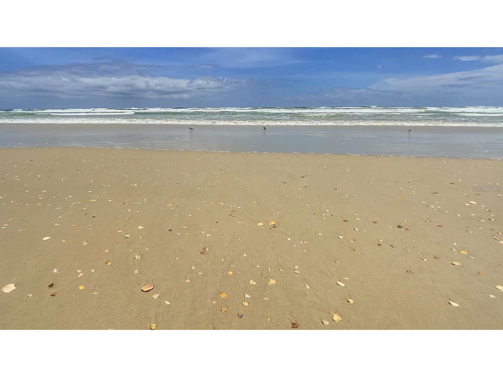4501 S Atlantic Avenue #415 New Smyrna Beach FL 32169 NS1088121 image35