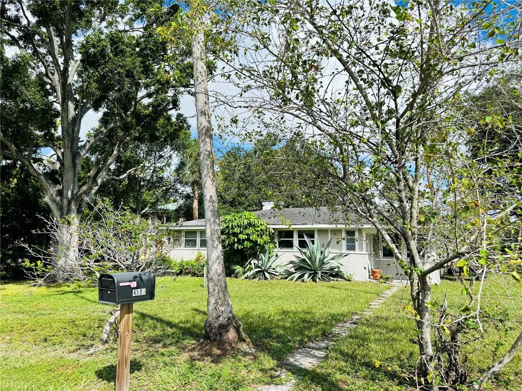 4501 W North B Street Tampa FL 33609 T3476259 image1
