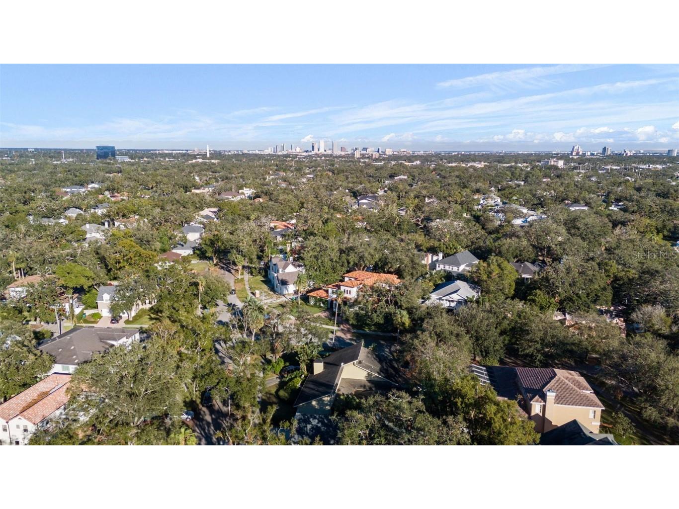 4502 W Sylvan Ramble Street Tampa FL 33609 TB8322862 image10