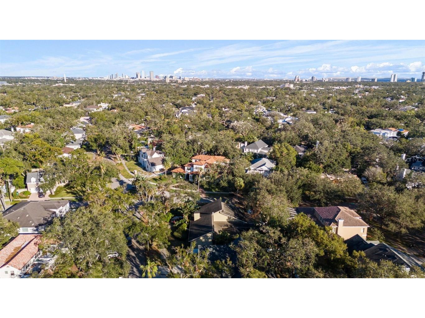 4502 W Sylvan Ramble Street Tampa FL 33609 TB8322862 image11