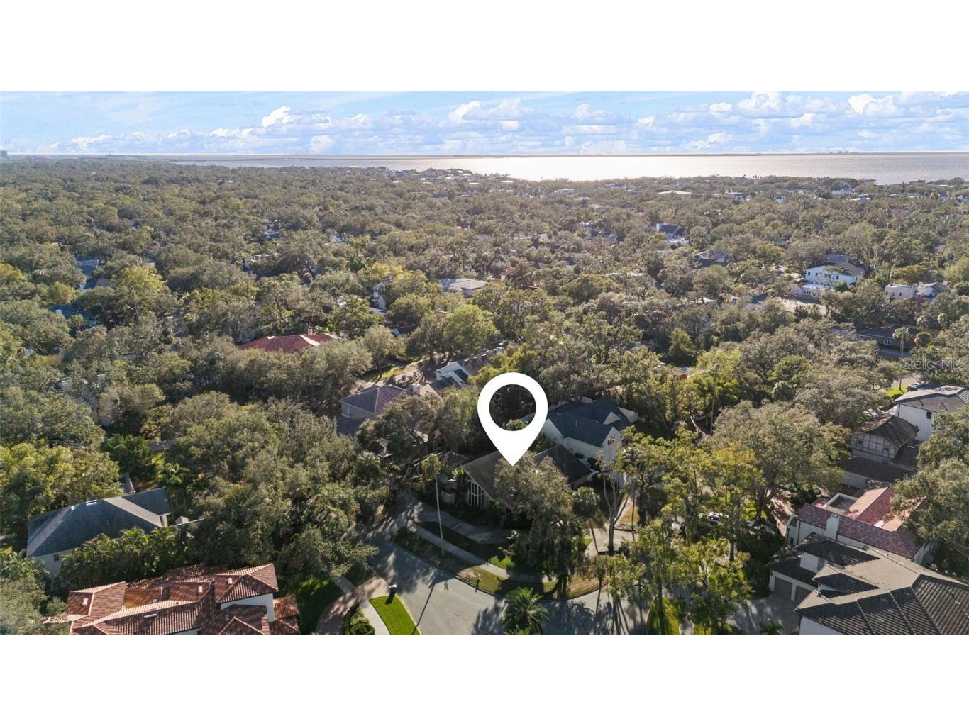 4502 W Sylvan Ramble Street Tampa FL 33609 TB8322862 image15