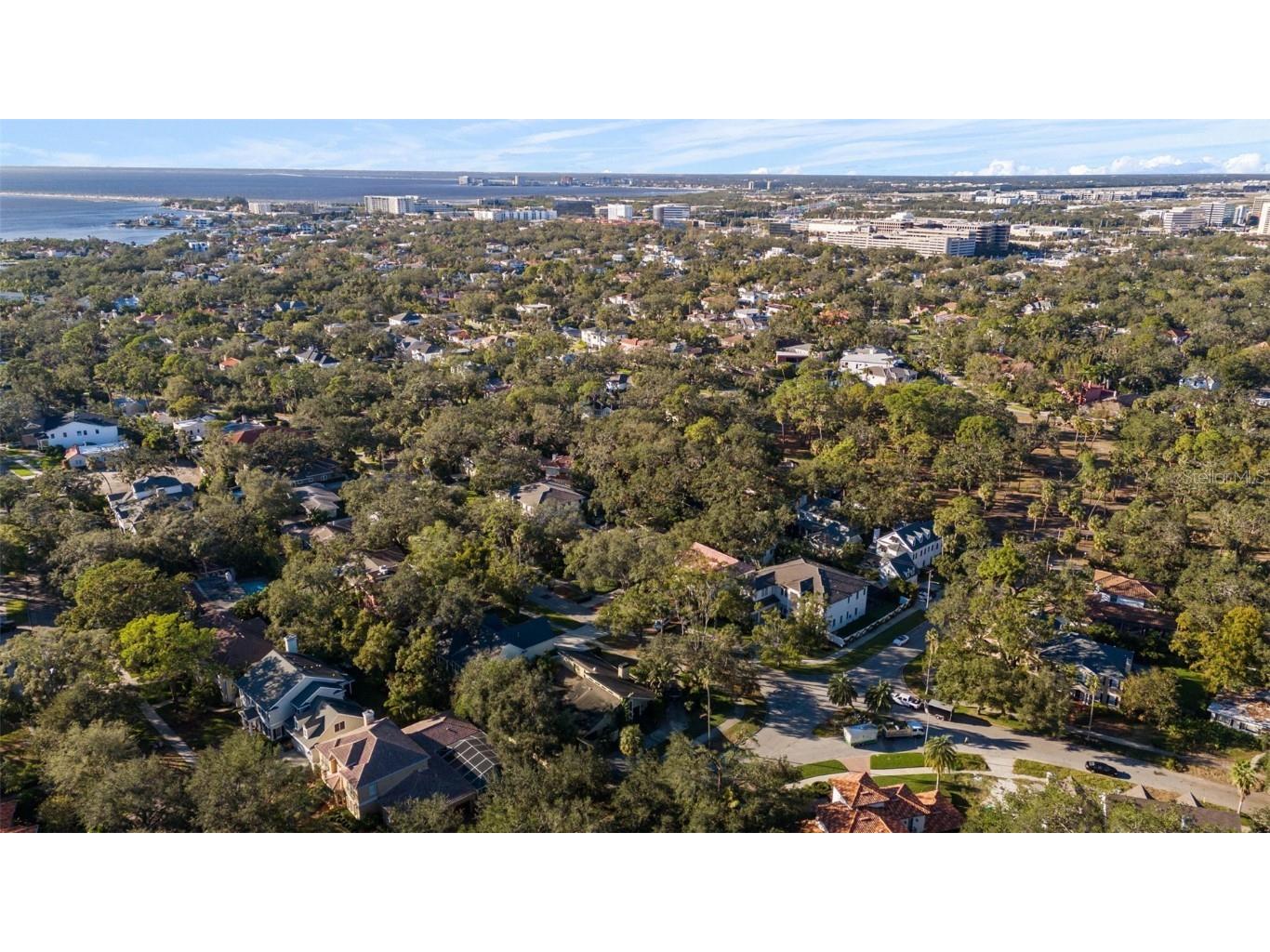 4502 W Sylvan Ramble Street Tampa FL 33609 TB8322862 image7