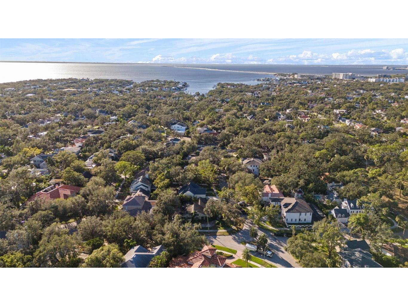 4502 W Sylvan Ramble Street Tampa FL 33609 TB8322862 image8