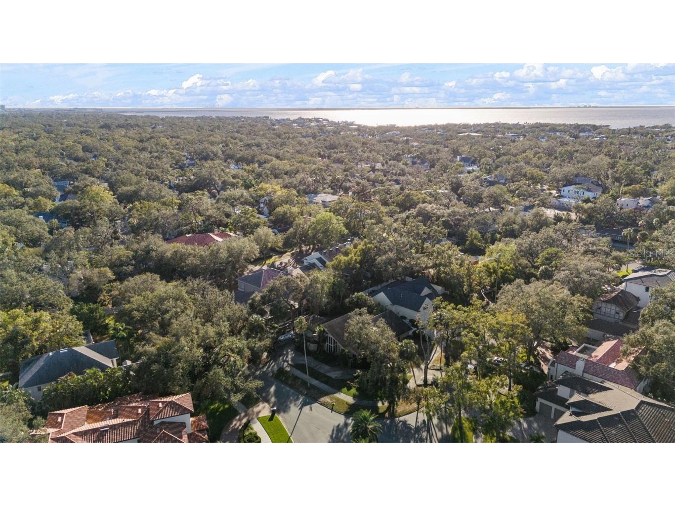 4502 W Sylvan Ramble Street Tampa FL 33609 TB8322862 image9