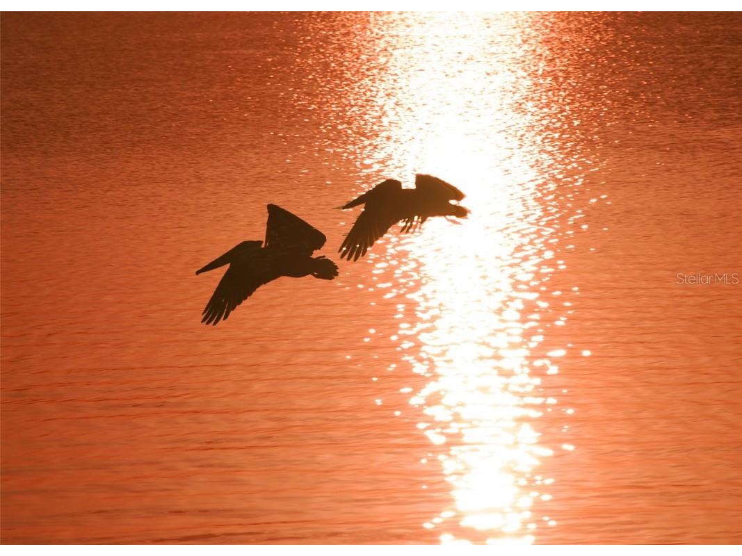 4503 Coral Lake Drive Bradenton FL 34210 A4667356 image69