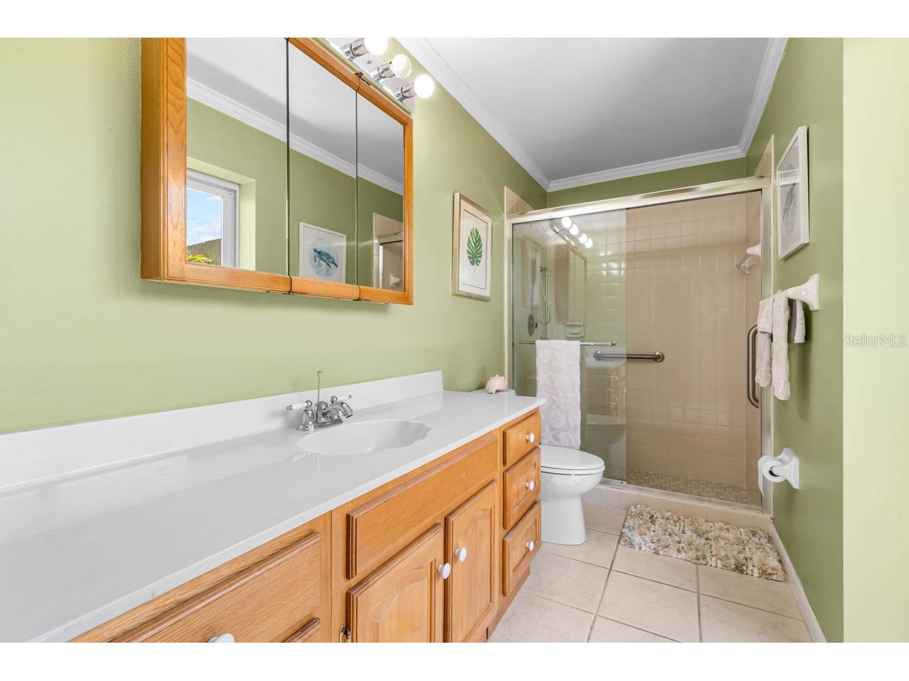 4503 Coral Lake Drive Bradenton FL 34210 TB8520091 image24