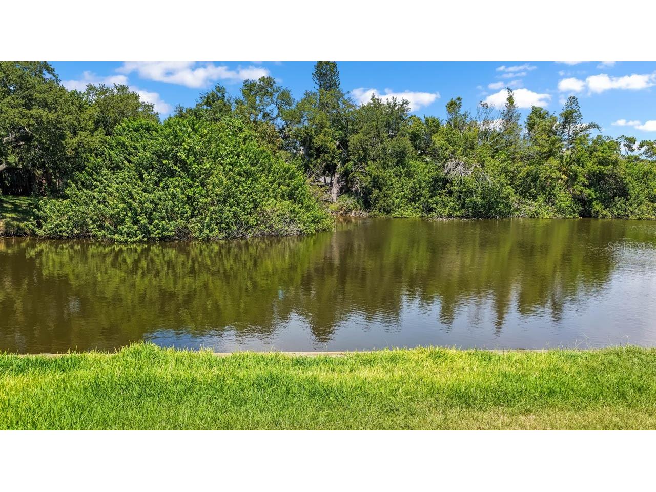 4503 Coral Lake Drive Bradenton FL 34210 TB8520091 image46