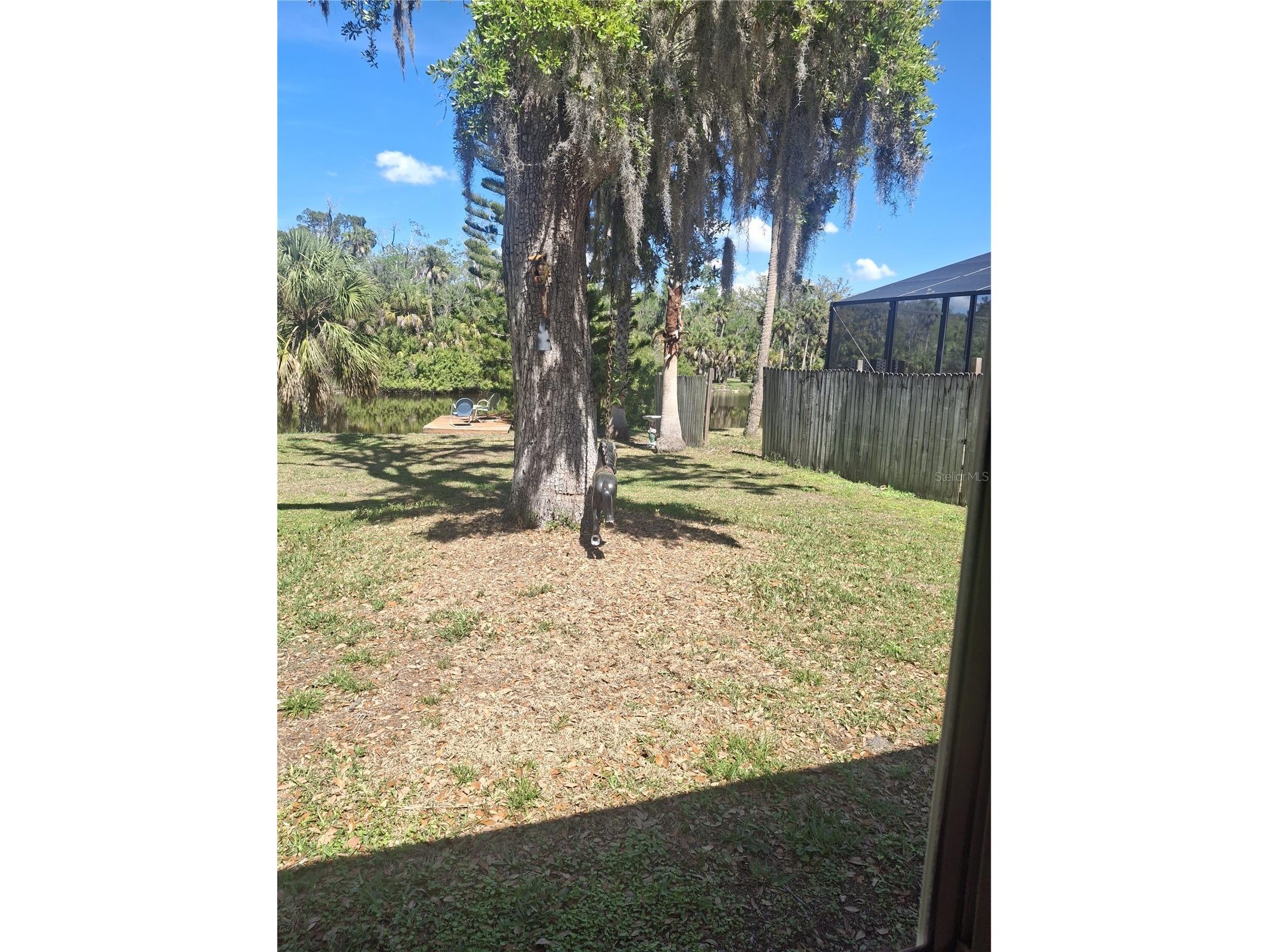 4503 Edith Street New Port Richey FL 34652 W7883844 image10