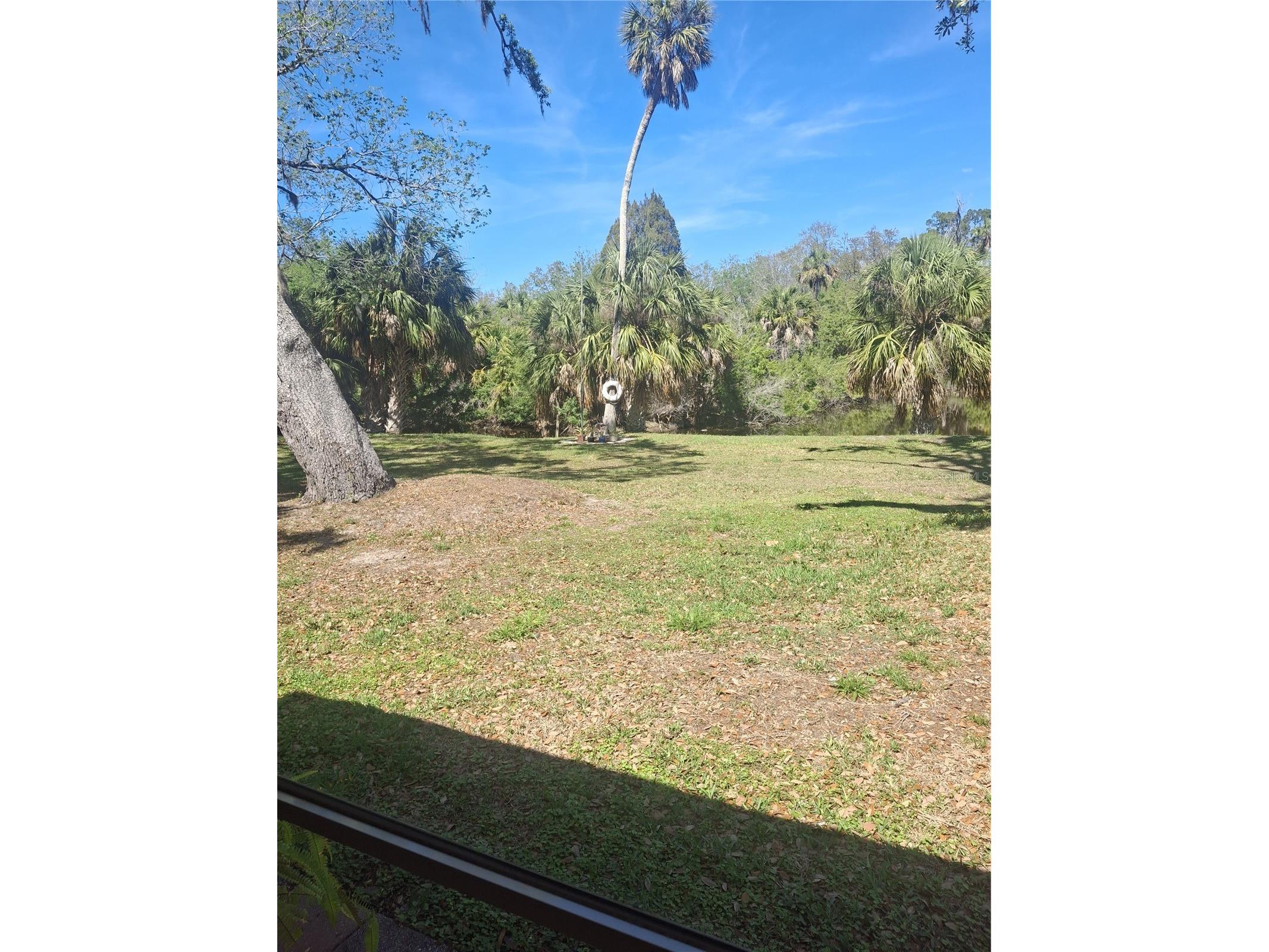 4503 Edith Street New Port Richey FL 34652 W7883844 image11