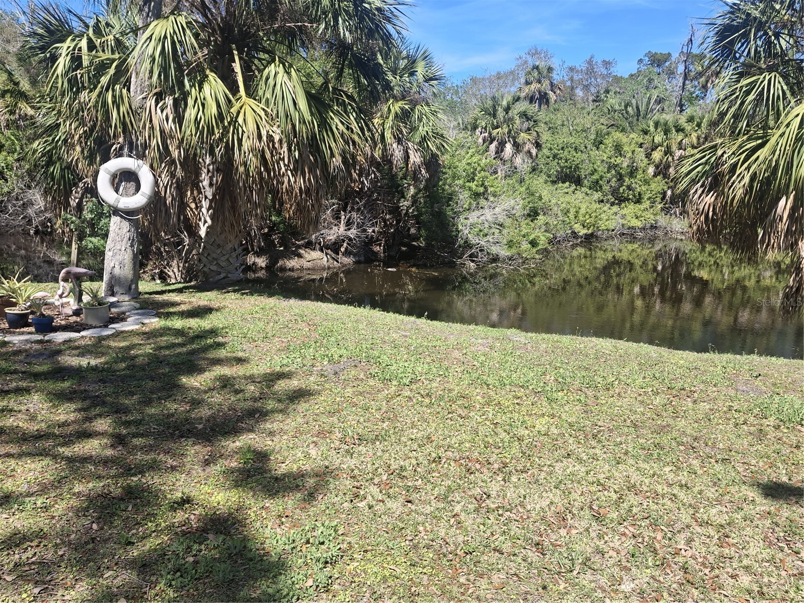 4503 Edith Street New Port Richey FL 34652 W7883844 image2