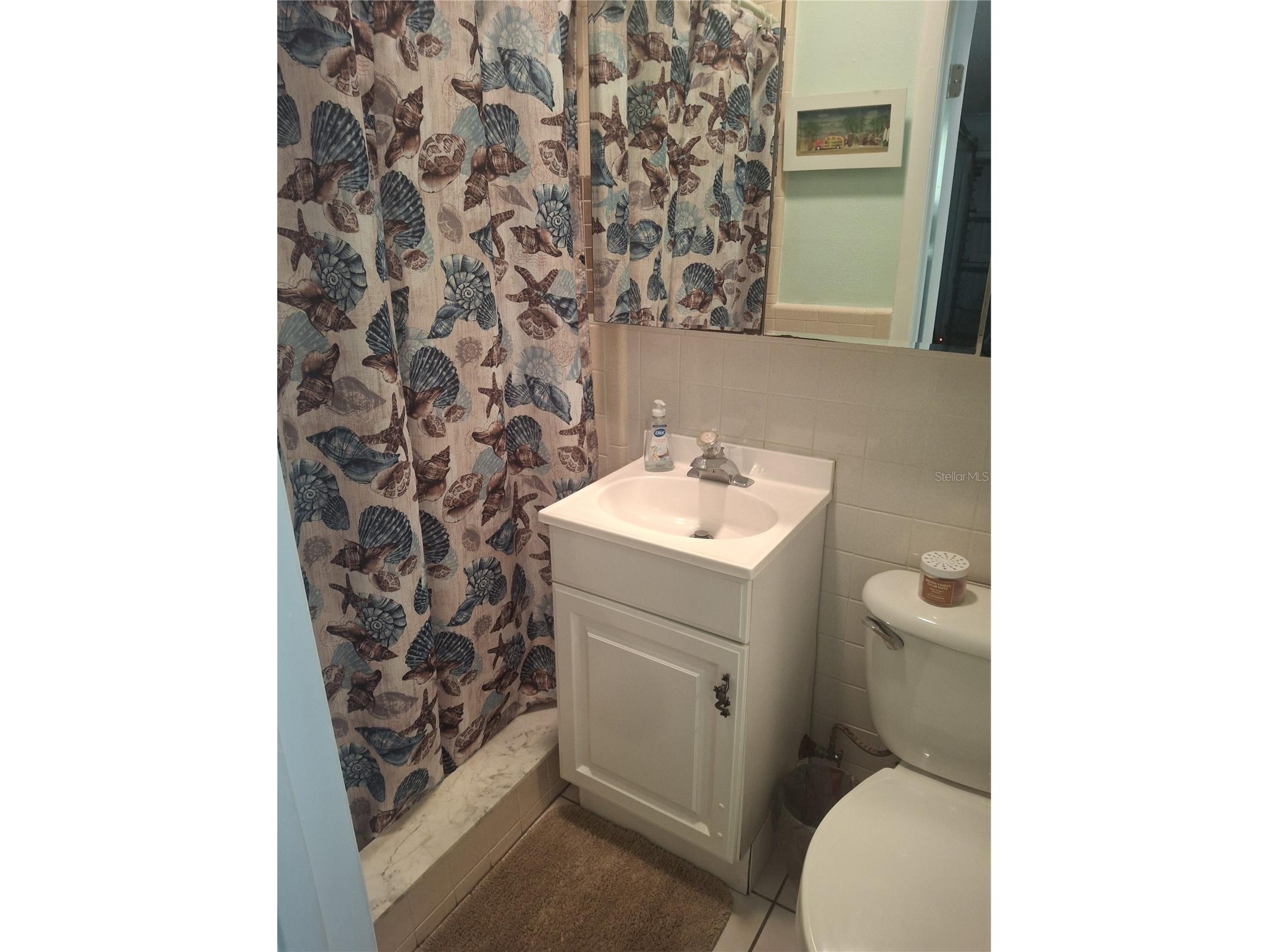 4503 Edith Street New Port Richey FL 34652 W7883844 image21
