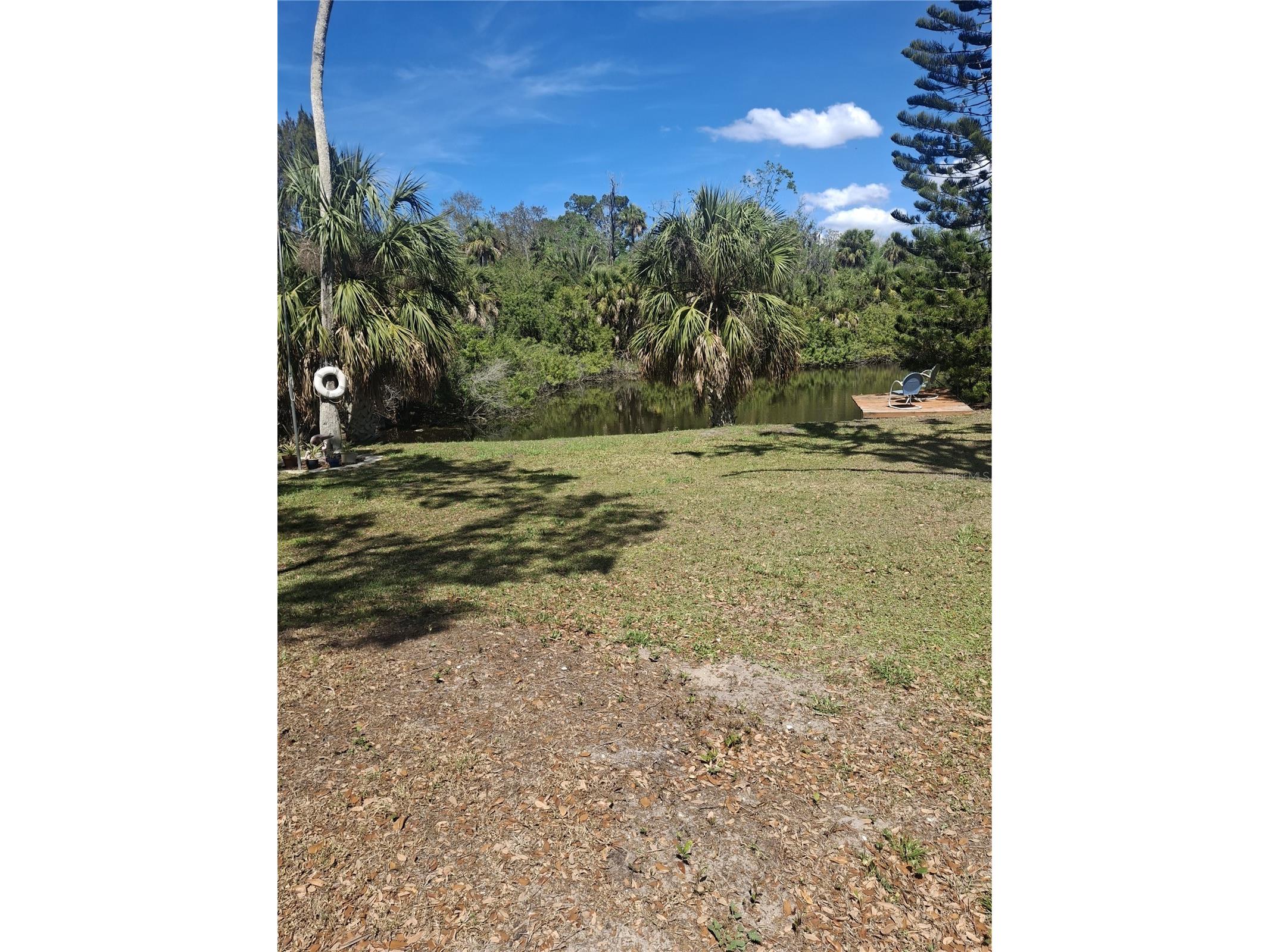 4503 Edith Street New Port Richey FL 34652 W7883844 image3
