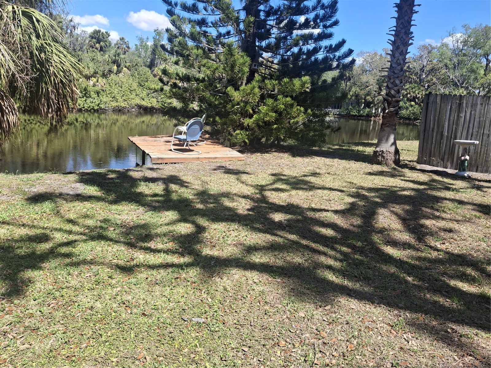 4503 Edith Street New Port Richey FL 34652 W7883844 image4