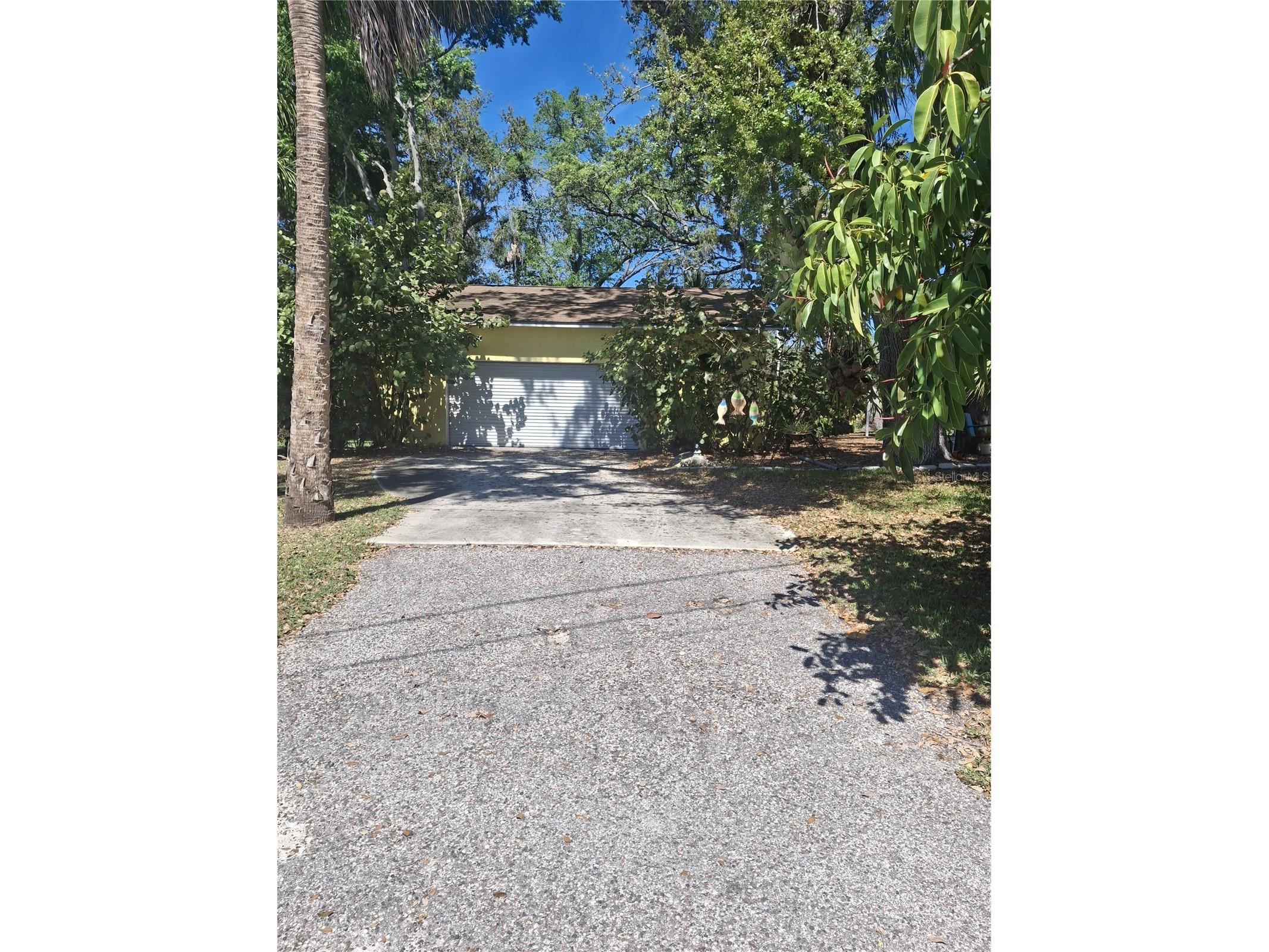 4503 Edith Street New Port Richey FL 34652 W7883844 image5
