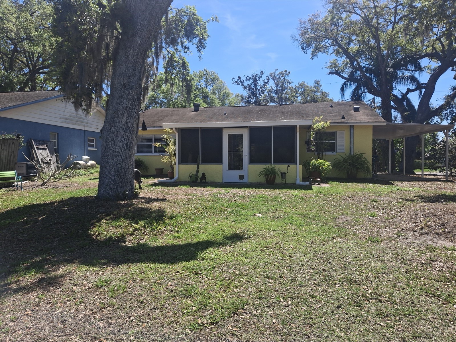 4503 Edith Street New Port Richey FL 34652 W7883844 image6