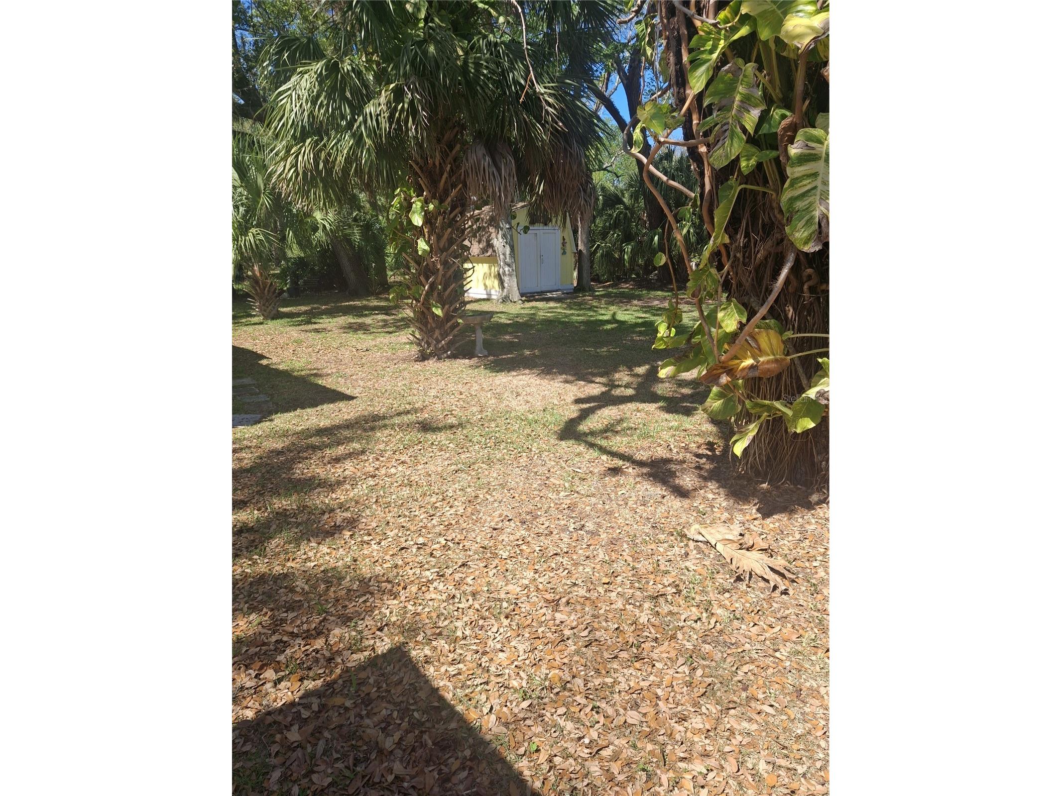 4503 Edith Street New Port Richey FL 34652 W7883844 image8