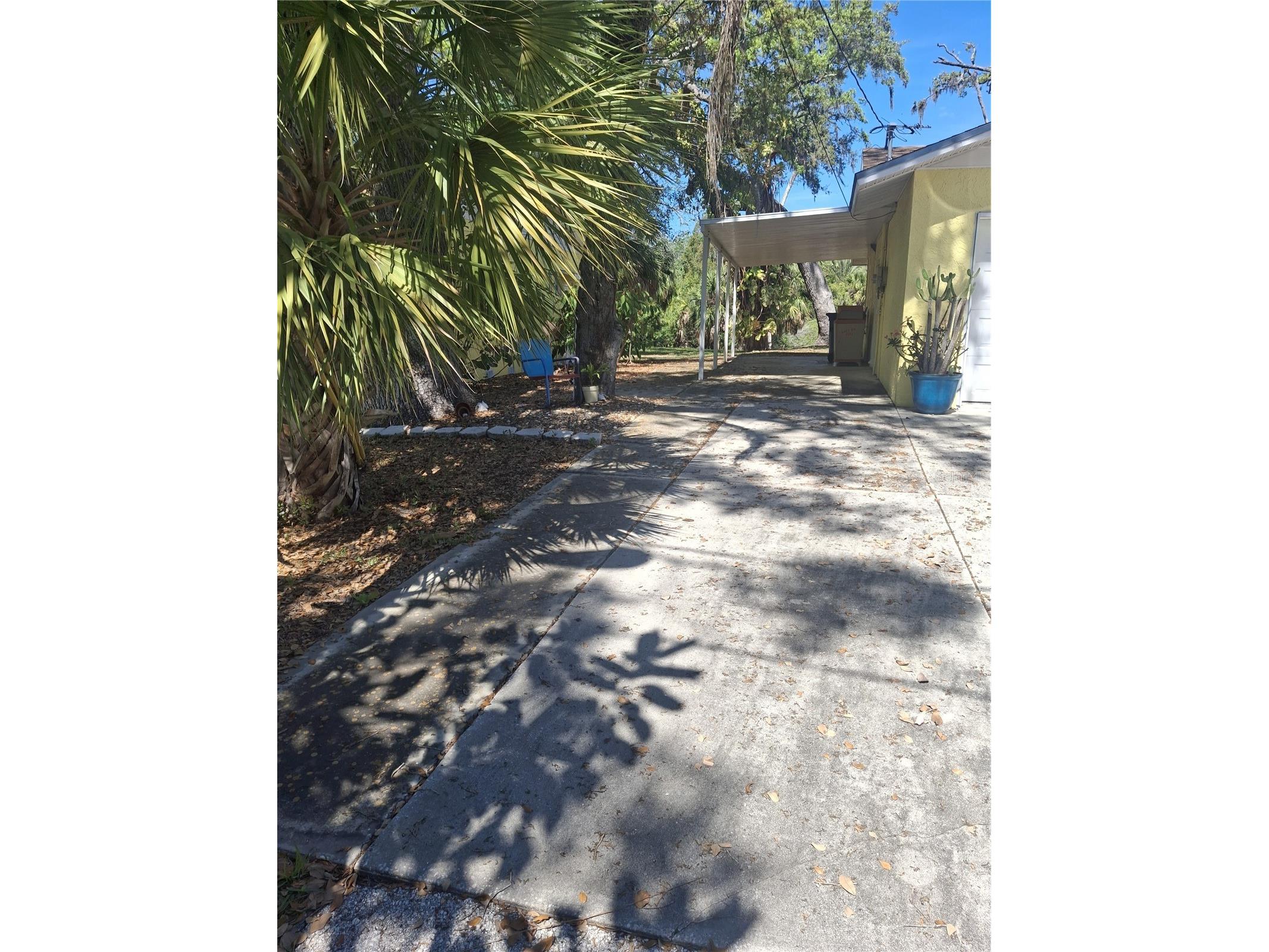 4503 Edith Street New Port Richey FL 34652 W7883844 image9