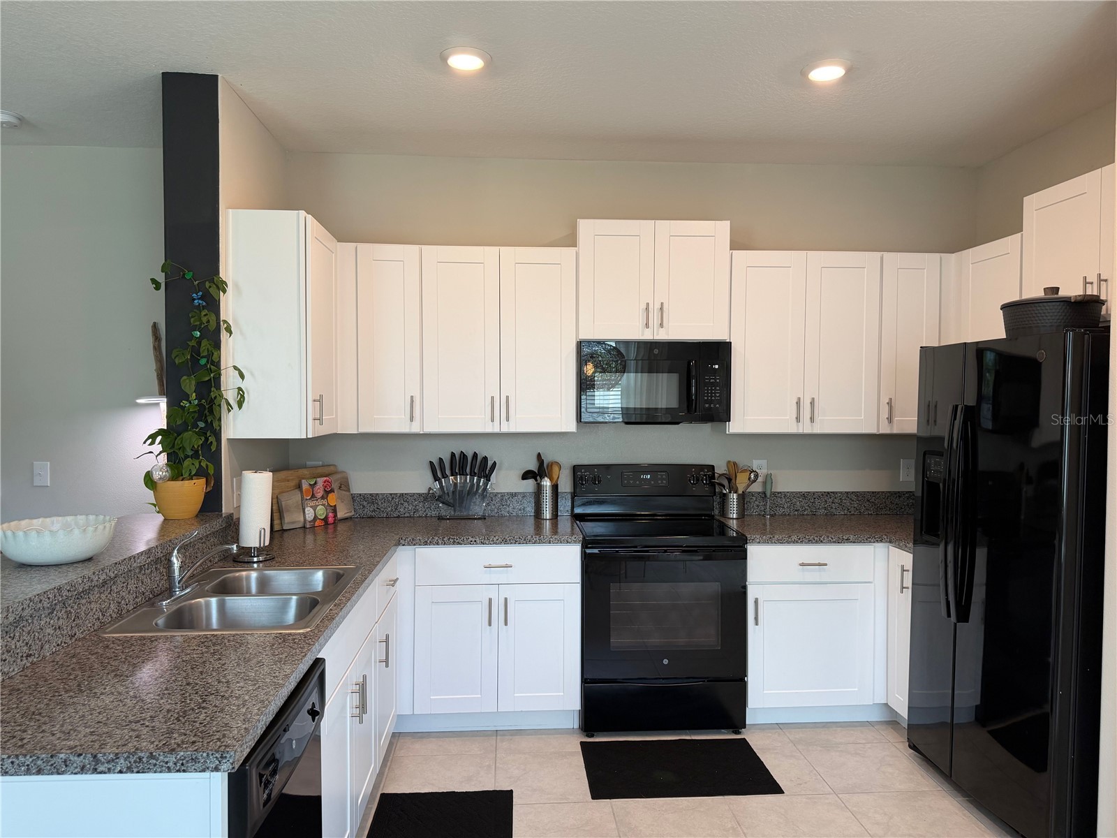 4503 Globe Thistle Drive Tampa FL 33619 TB8528214 image14