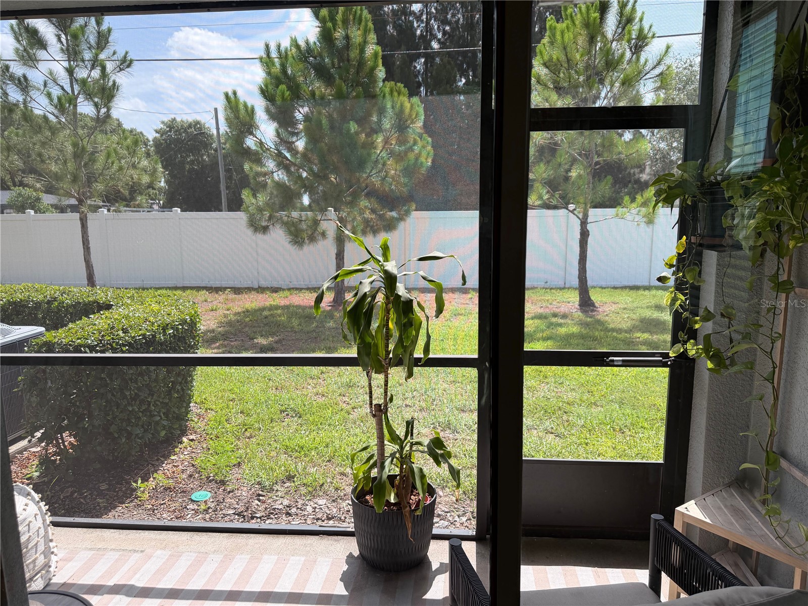 4503 Globe Thistle Drive Tampa FL 33619 TB8528214 image18