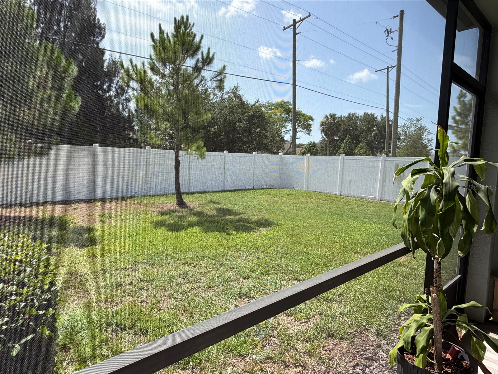 4503 Globe Thistle Drive Tampa FL 33619 TB8528214 image21
