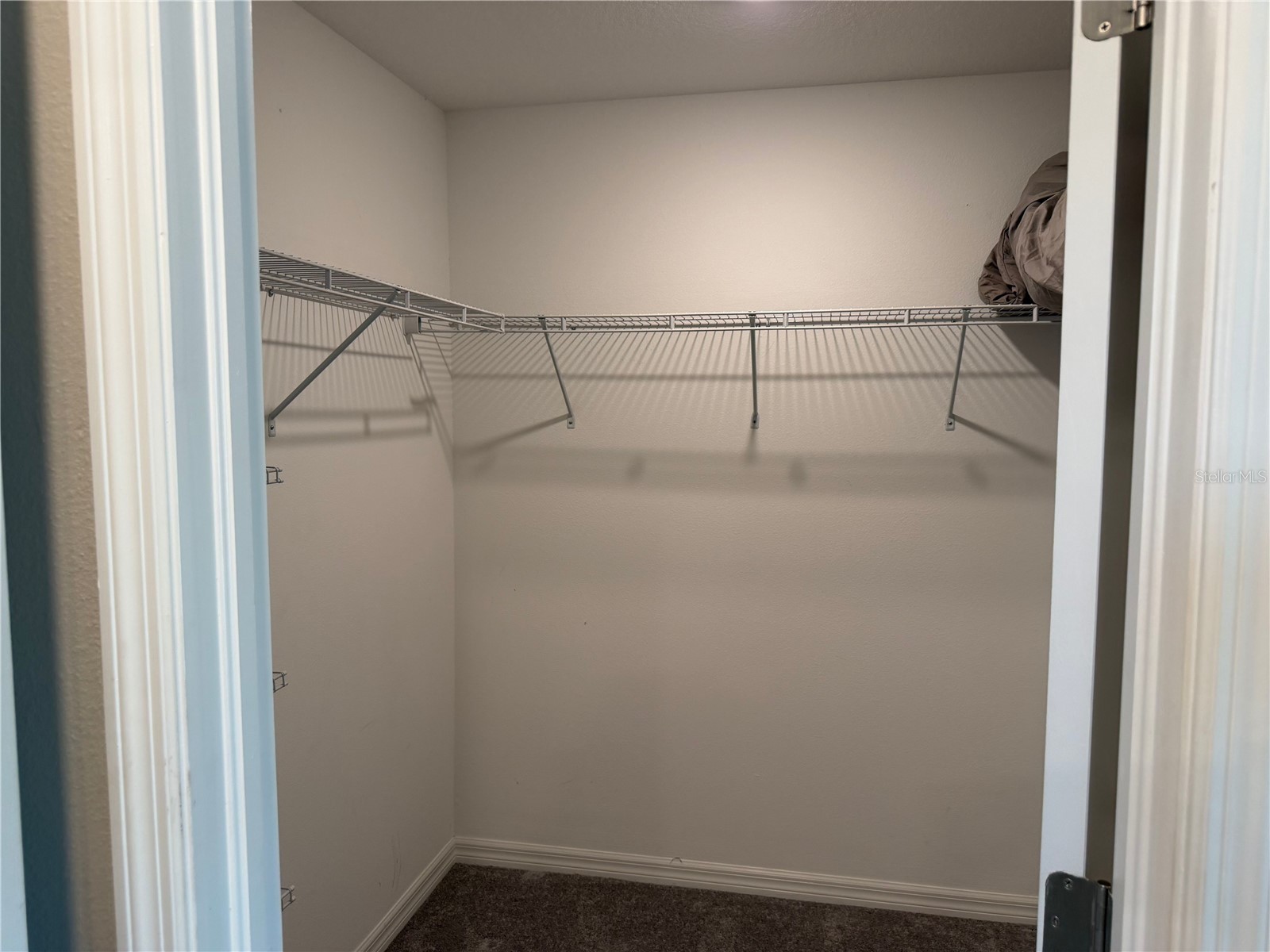 4503 Globe Thistle Drive Tampa FL 33619 TB8528214 image34