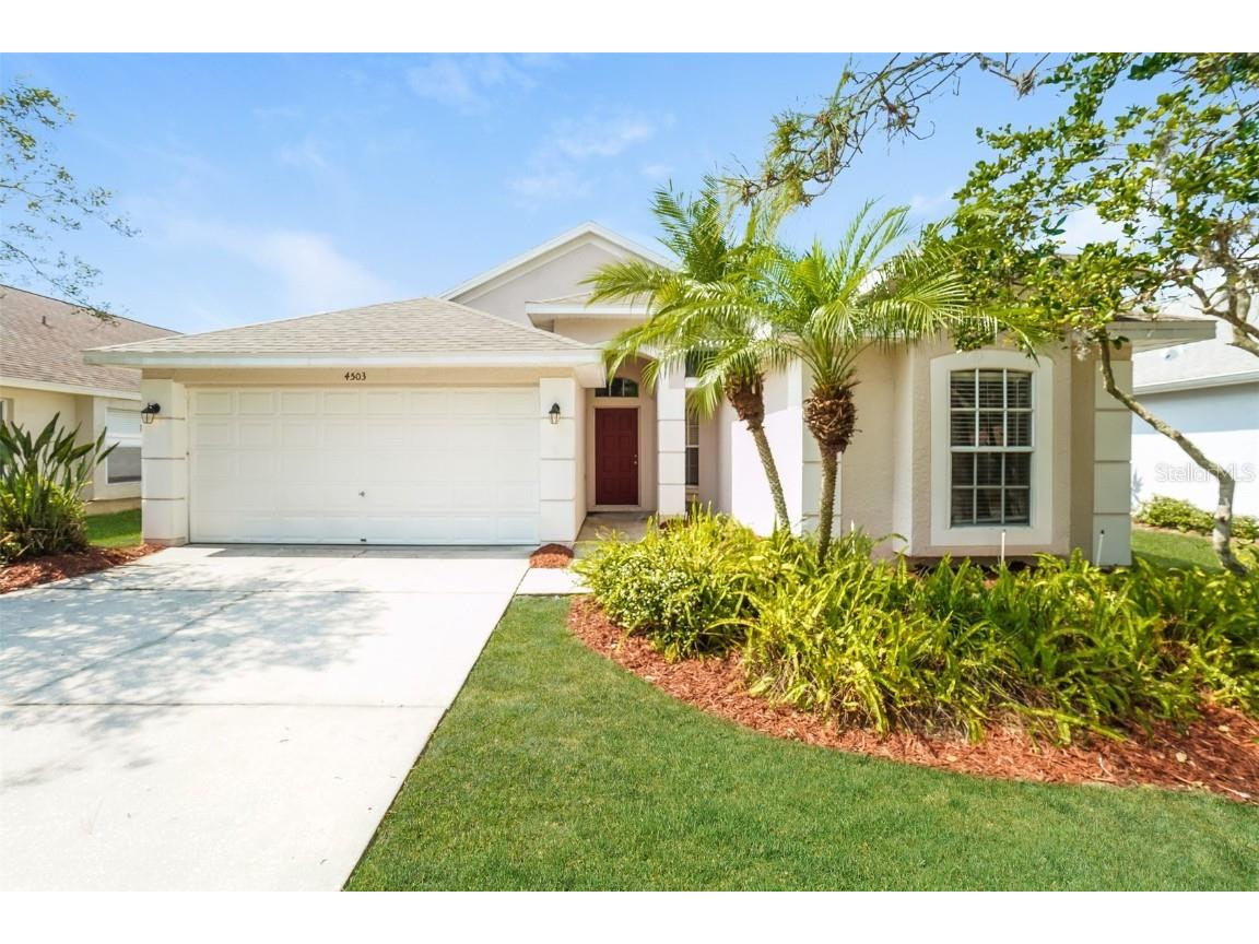 4503 New Dawn Court Lutz FL 33558 T3433773 image1