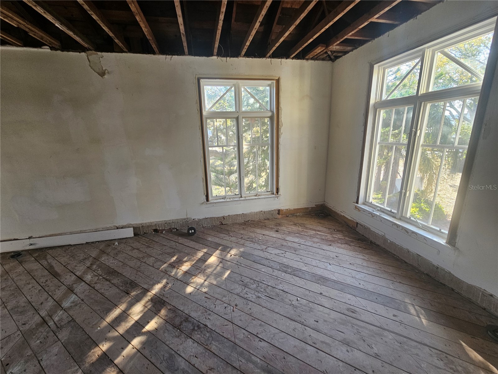 4503 W North B Street Tampa FL 33609 TB8479916 image6