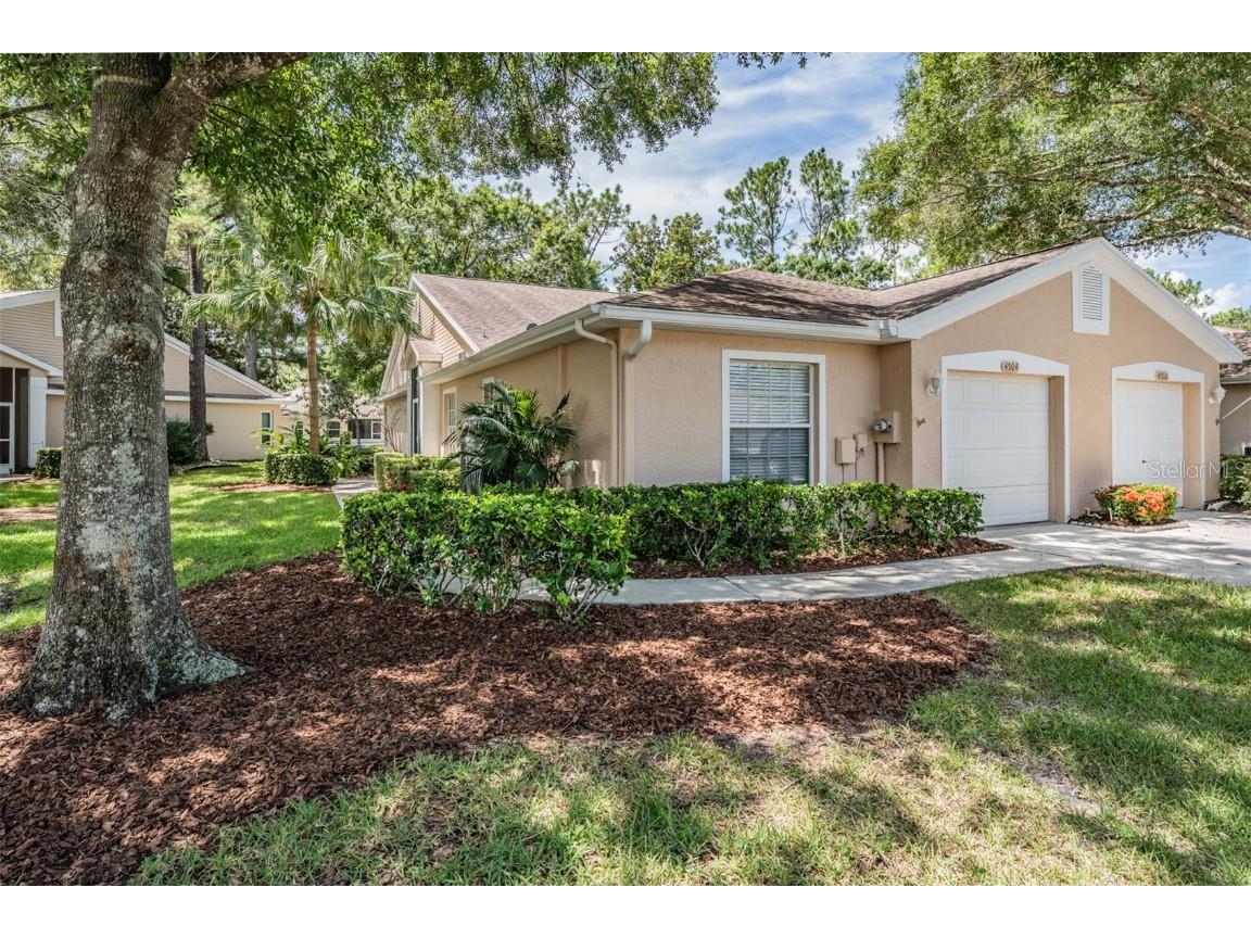 4504 Connery Court Palm Harbor FL 34685 TB8413265 image1