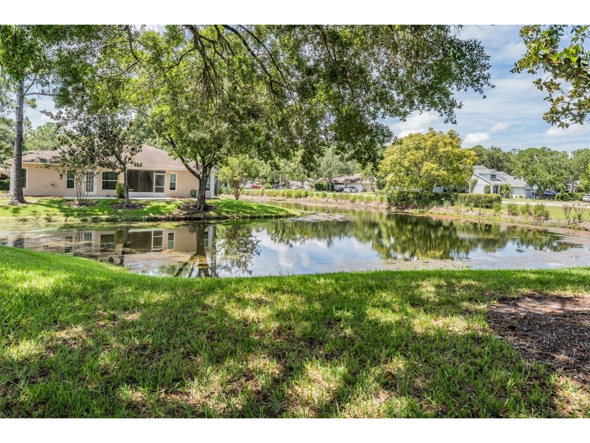 4504 Connery Court Palm Harbor FL 34685 TB8413265 image24