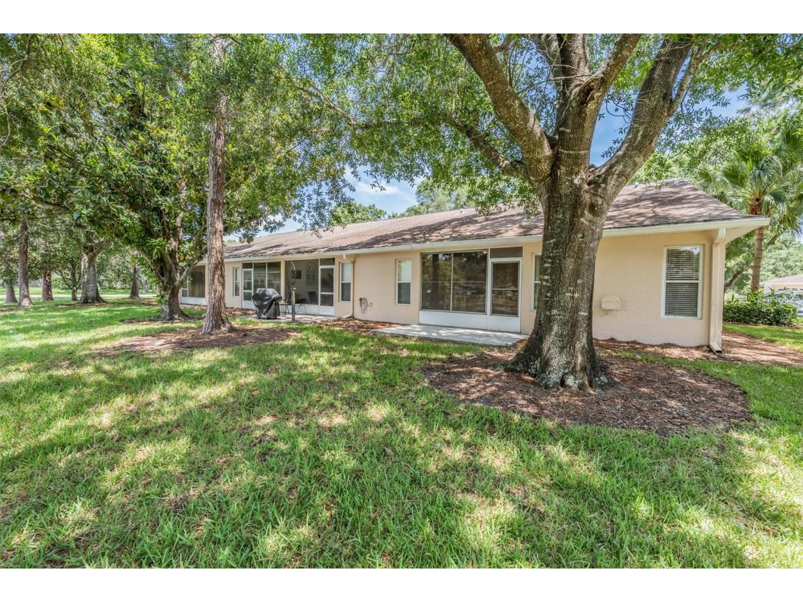 4504 Connery Court Palm Harbor FL 34685 TB8413265 image25