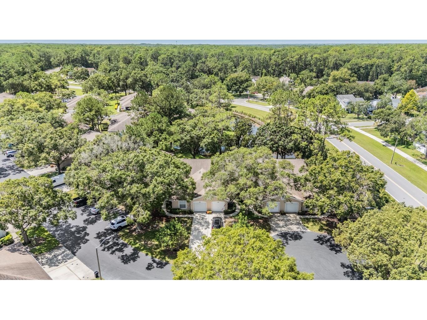 4504 Connery Court Palm Harbor FL 34685 TB8413265 image28