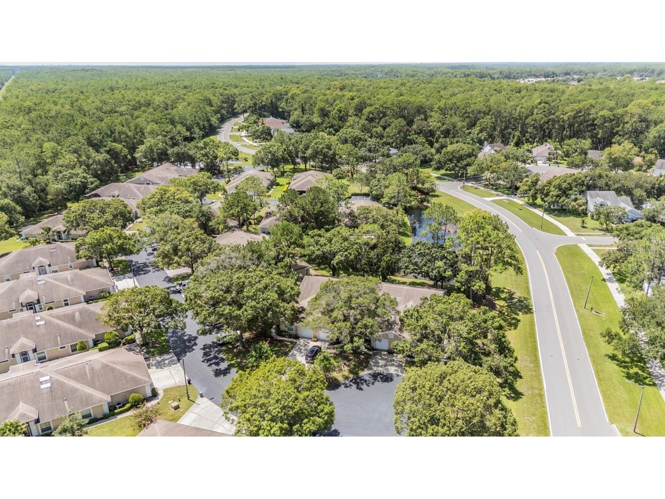 4504 Connery Court Palm Harbor FL 34685 TB8413265 image31